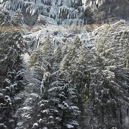 アパート Jobling's