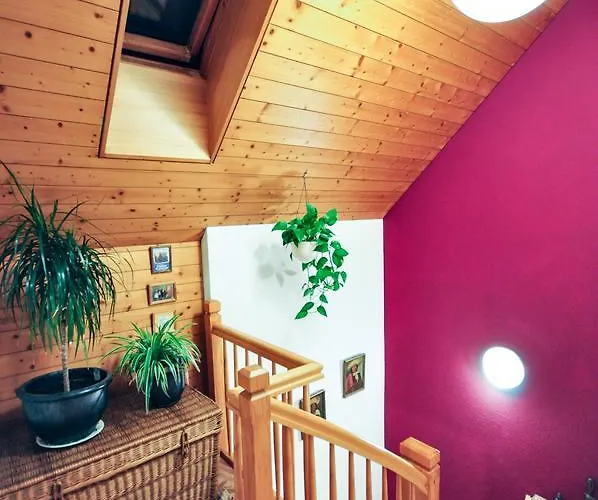 Jobling's * インターラーケン